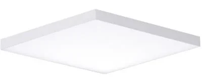 LED Flush Mount6631307