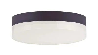 LED Flush Mount895279