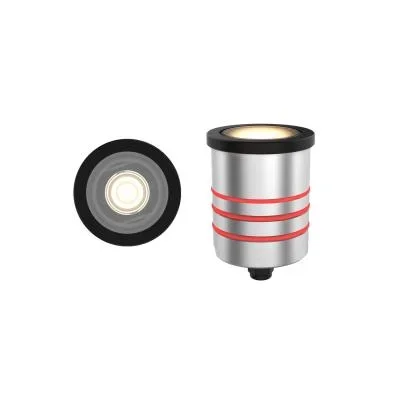 LED Inground Indicator Light2303965