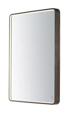 LED Mirror512739