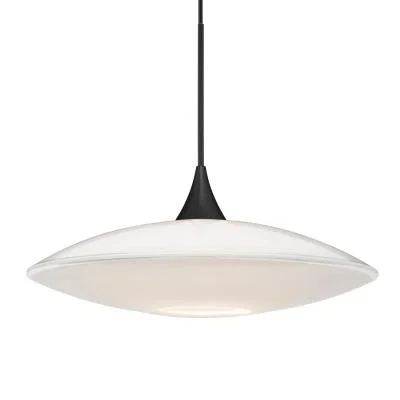 LED Pendant2402029