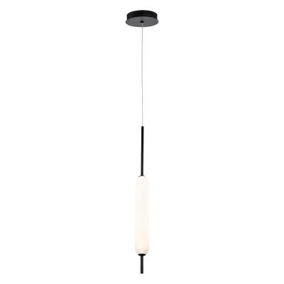 LED Pendant2438570