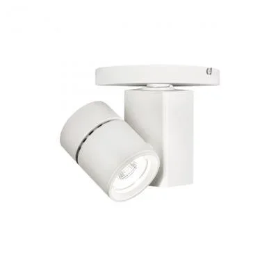 LED Spot Light4024255