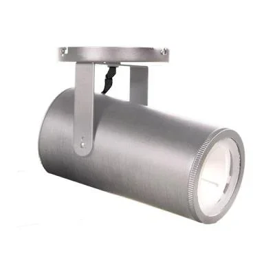 LED Spot Light4024955