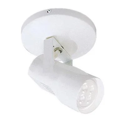 LED Spot Light480754