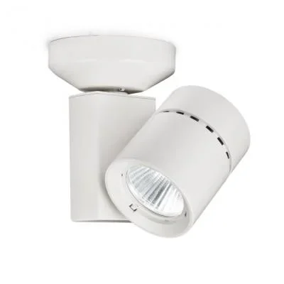LED Spot Light798447