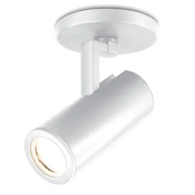 LED Spot Light920194