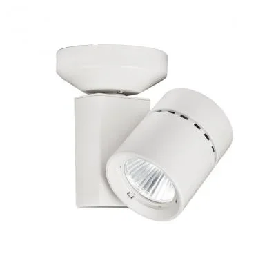 LED Spot Light924854