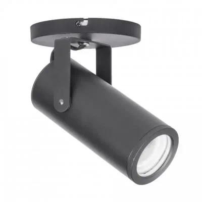 LED Spot Light987418