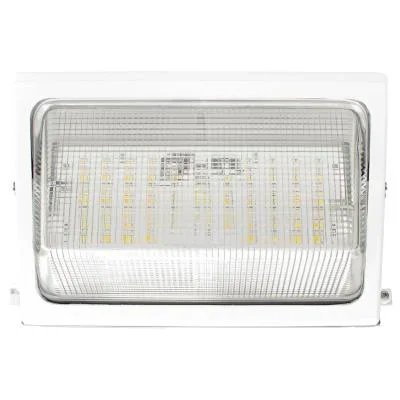 LED Tunable Non-Cutoff Wall Packs2289464