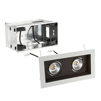 LED Two Light Remodel Housing with Trim and Light Engine123358