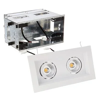 LED Two Light Remodel Housing with Trim and Light Engine123392