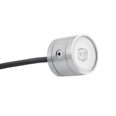 LED Underwater Accent2179071