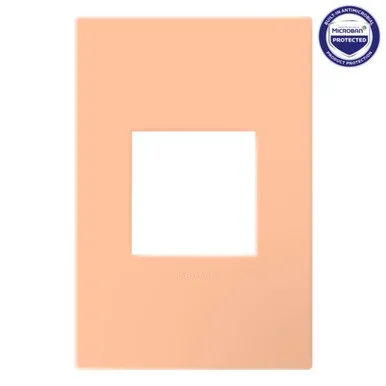 Legrand Wall Plate – AWP1G2PY