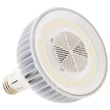 Light Bulb (S13153)