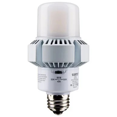 Light Bulb (S13161)