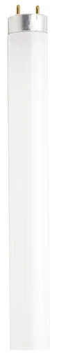 Light Bulb (S2916)
