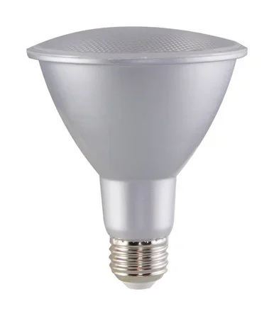 Light Bulb (S29439)