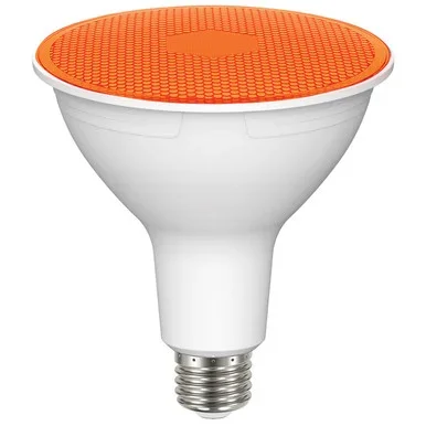 Light Bulb (S29483)
