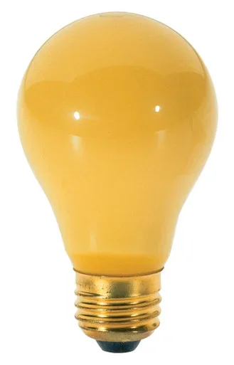 Light Bulb (S3859)