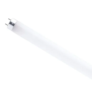 Light Bulb (S49936R1)