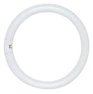 Light Bulb (S6505)