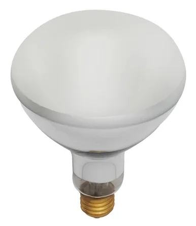 Light Bulb (S7006)