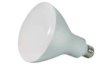 Light Bulb (S9640)