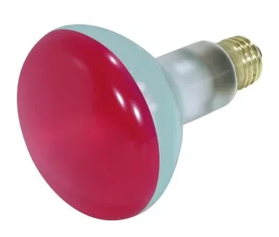 Light Bulb041097