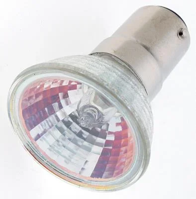 Light Bulb041351