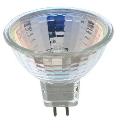 Light Bulb041353