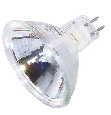 Light Bulb041367
