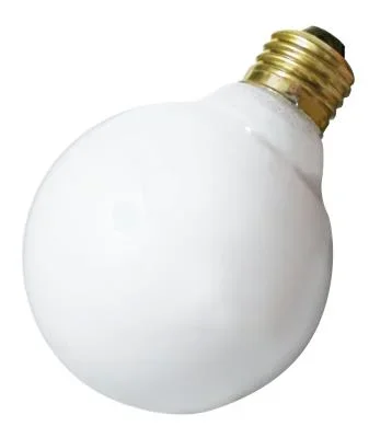 Light Bulb041800