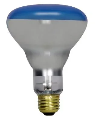 Light Bulb041929