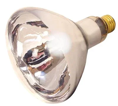 Light Bulb042382