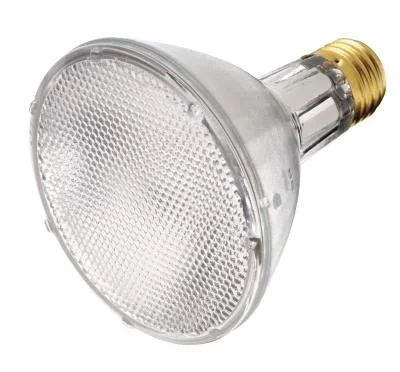 Light Bulb042434