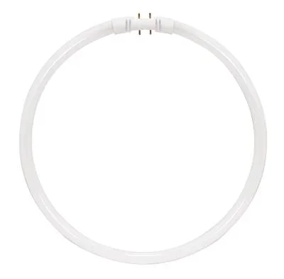 Light Bulb045390