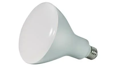 Light Bulb045872
