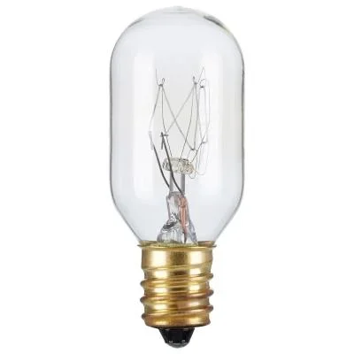 Light Bulb2064073