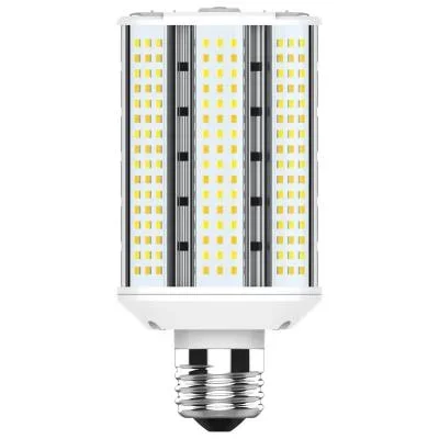 Light Bulb2064080