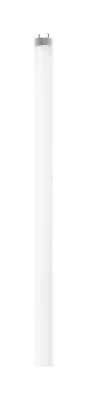 Light Bulb2158483