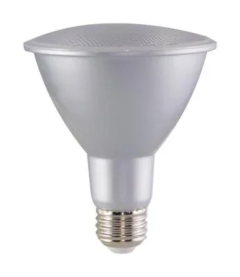 Light Bulb2224448