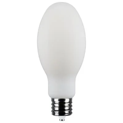 Light Bulb2412047