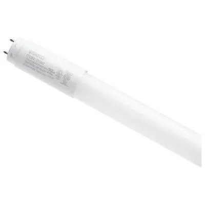 Light Bulb2412491