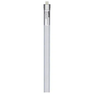 Light Bulb2561581