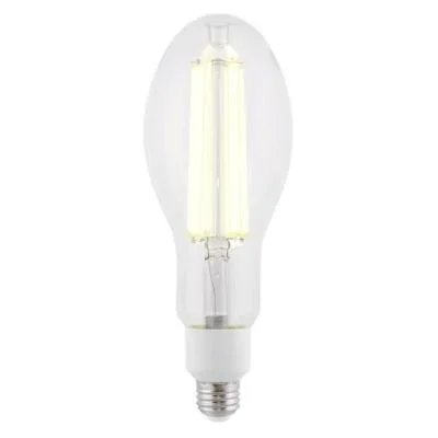 Light Bulb2646019