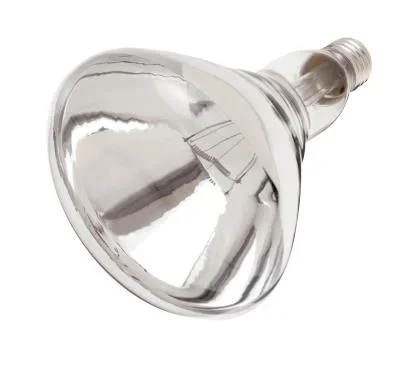 Light Bulb428056