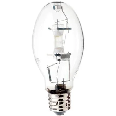 Light Bulb428254