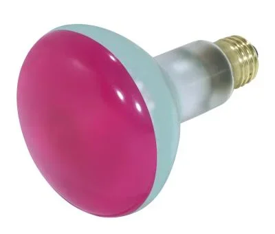 Light Bulb429410