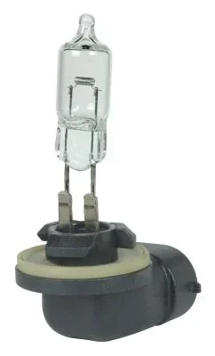 Light Bulb4439297